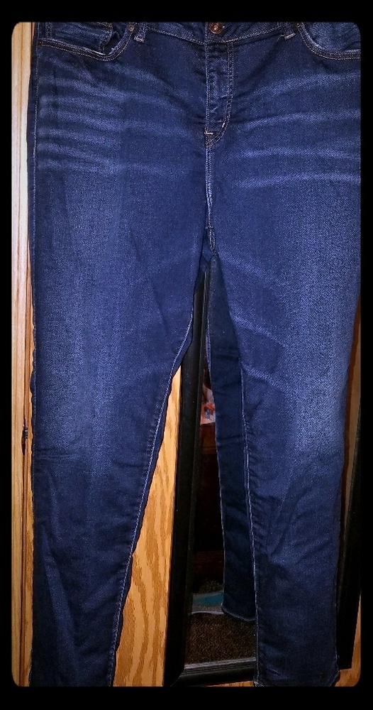 Silver's size 22x31 plus